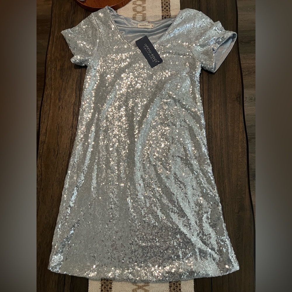 Silver Sequin Dress‎